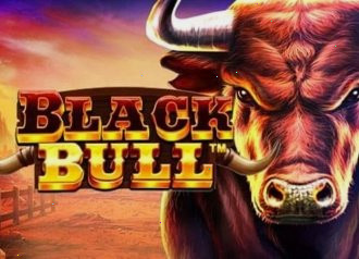 black bull fat